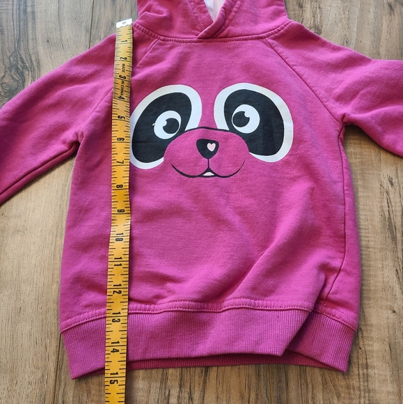 Hood - Picture 5 of 6